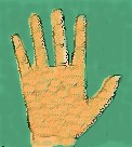 Hand Image